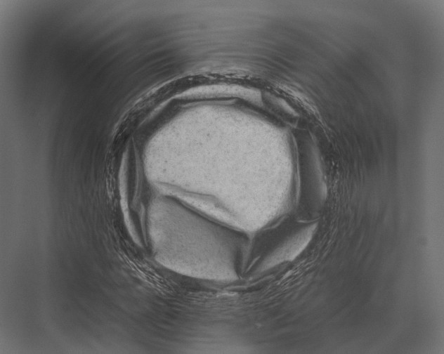 X0000075330920200610061624