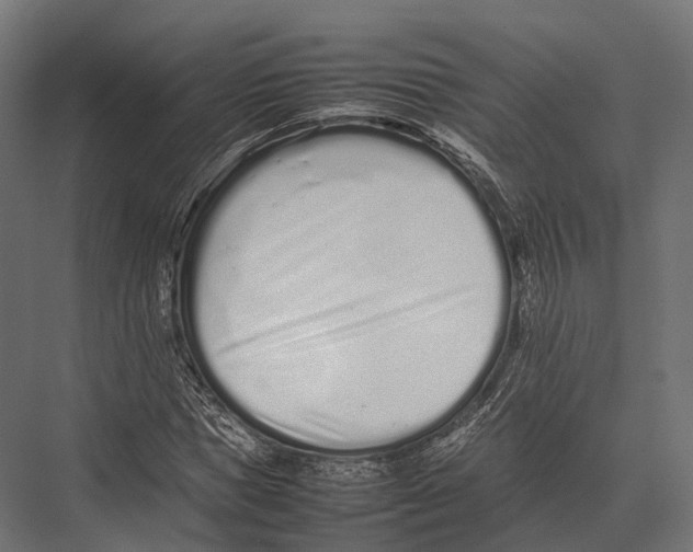 X0000075330921200610061624