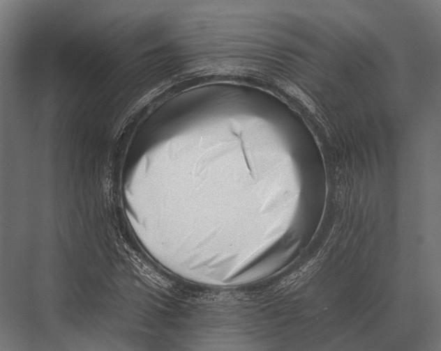 X0000075330922200610061624