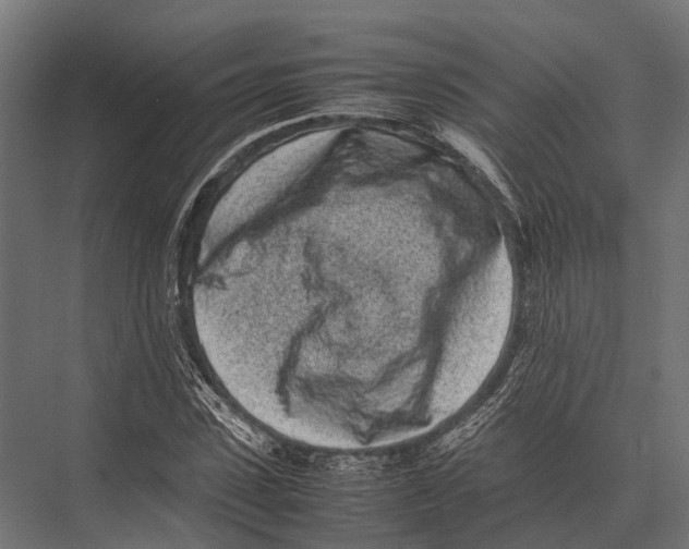 X0000075330923200610061624