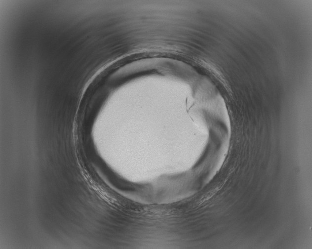 X0000075330928200610061624