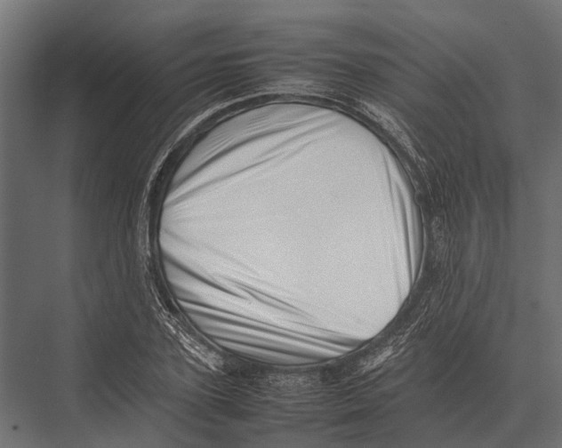 X0000075330931200610061624