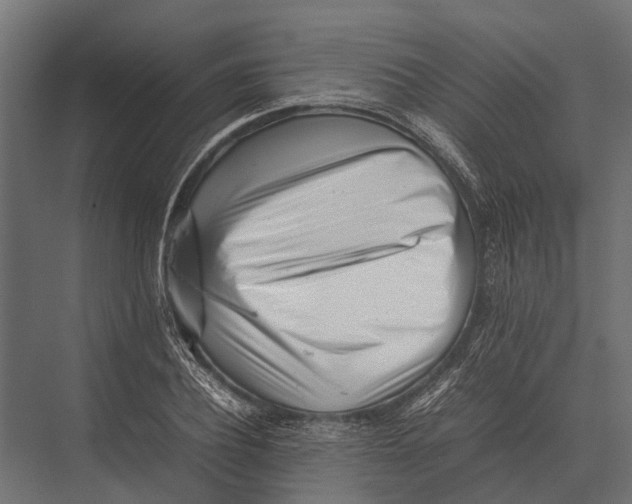 X0000075330932200610061624