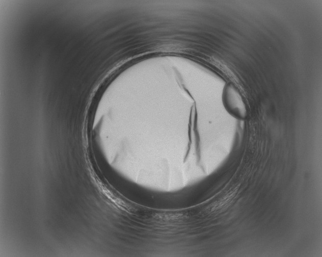 X0000075330939200610061624