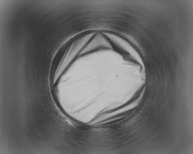 X0000075330943200610061624