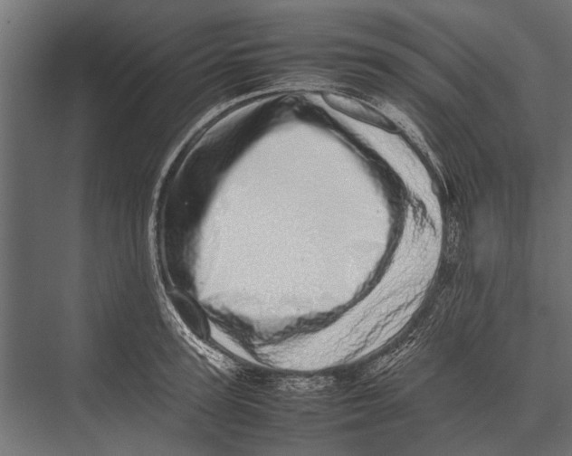 X0000075330947200610061625