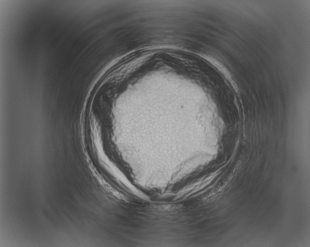X0000075330949200610061625