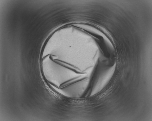 X0000075330951200610061625