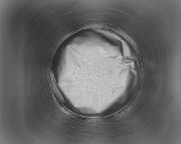 X0000075330953200610061625