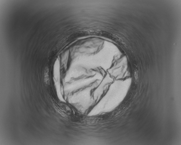X0000075330963200610061624