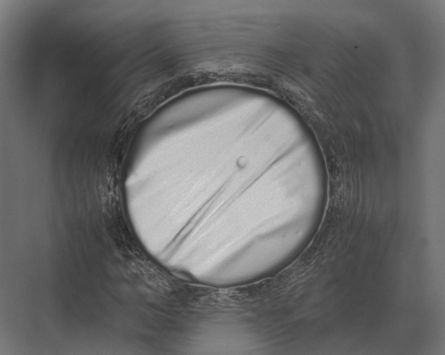 X0000075330966200610061624