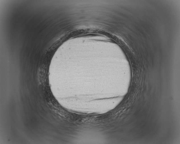X0000075330967200610061624
