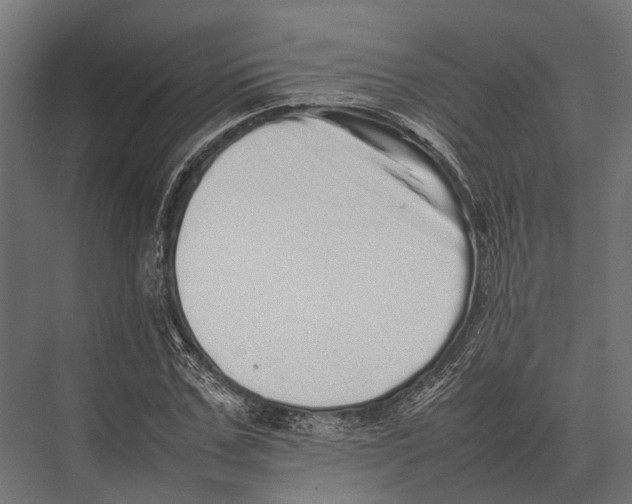 X0000075330971200610061624