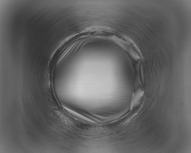 X0000075330973200610061624