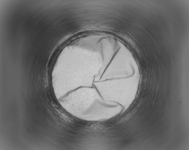 X0000075330974200610061624