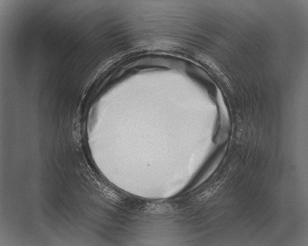 X0000075330978200610061624