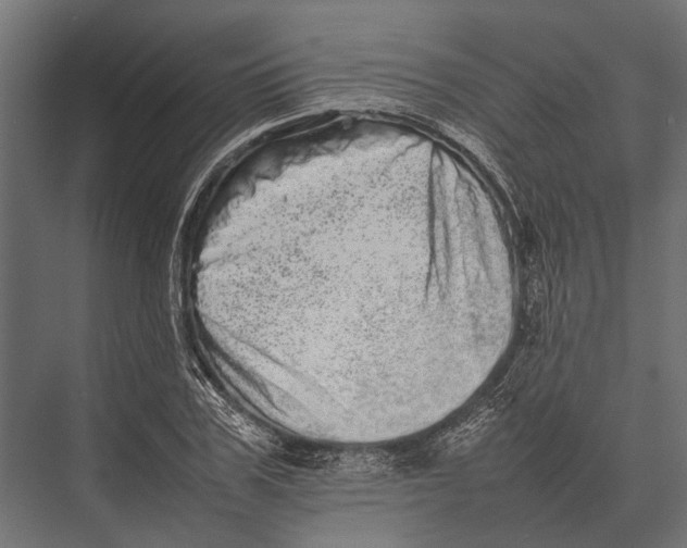 X0000075330979200610061624