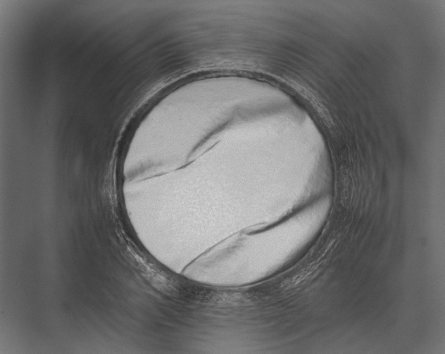 X0000075330982200610061624