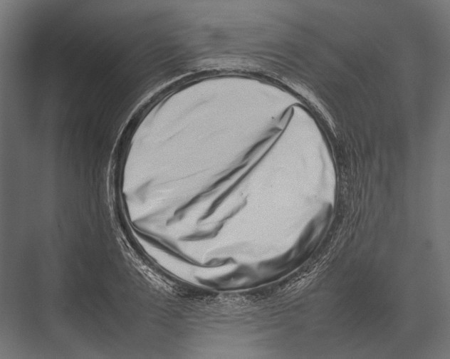 X0000075330983200610061624