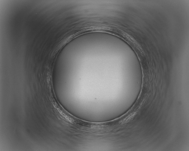 X0000075330985200610061624