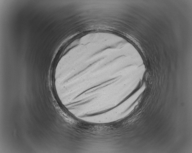 X0000075330987200610061623