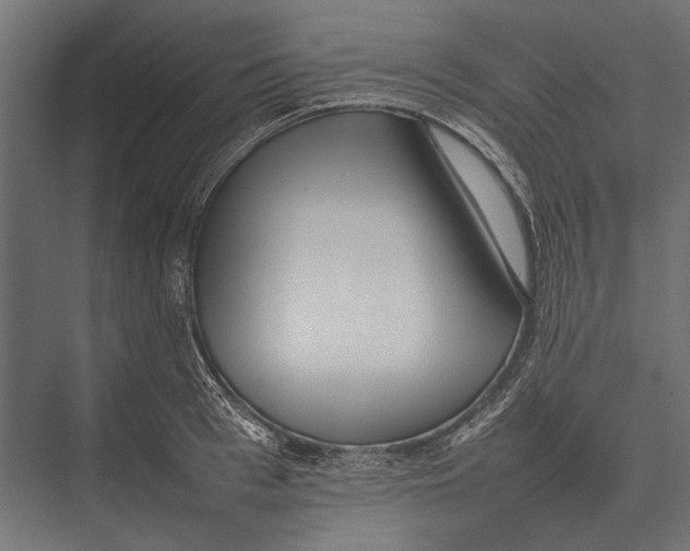 X0000075330993200610061623