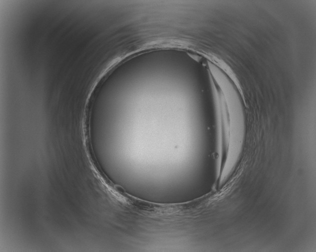 X0000075330997200610061623