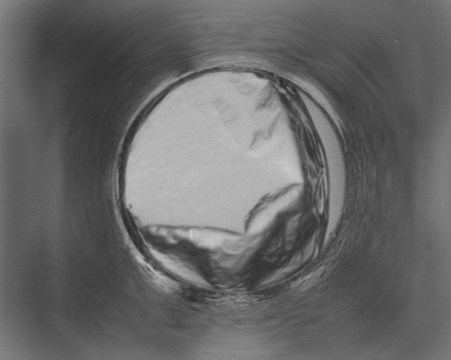 X0000075330999200610061623