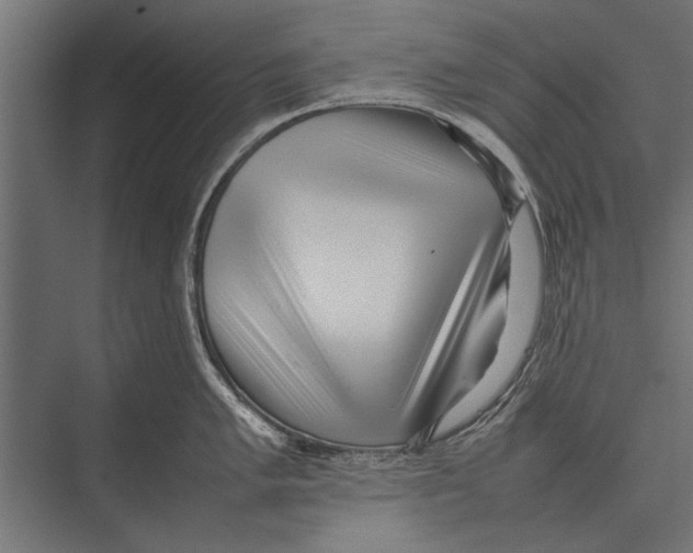 X0000075331005200610061623