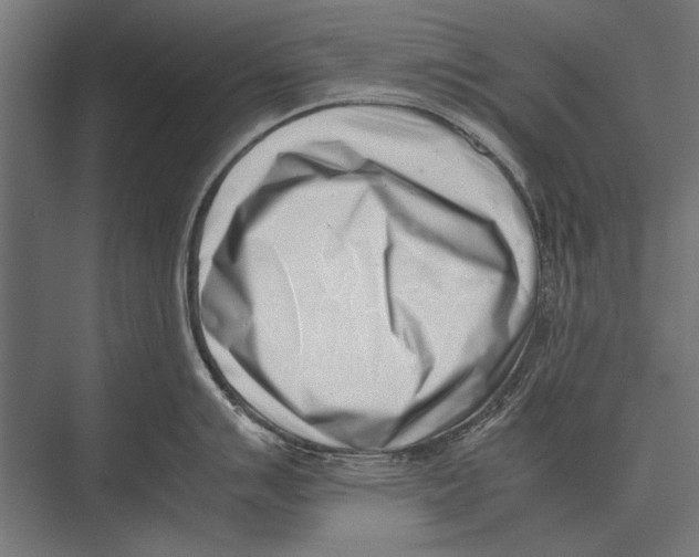 X0000075331007200610061623