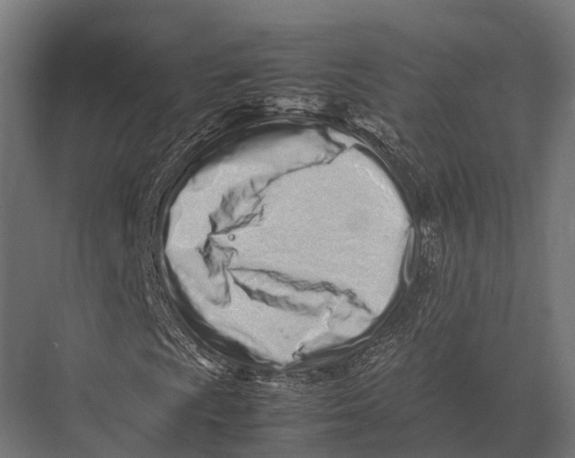 X0000075331009200610061622