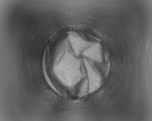 X0000075331010200610061622