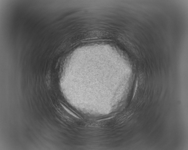 X0000075331011200610061622