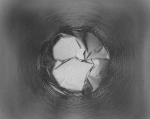 X0000075331012200610061622