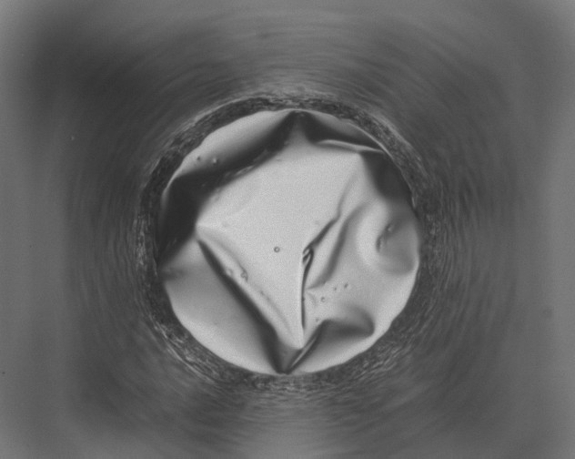 X0000075331016200610061622
