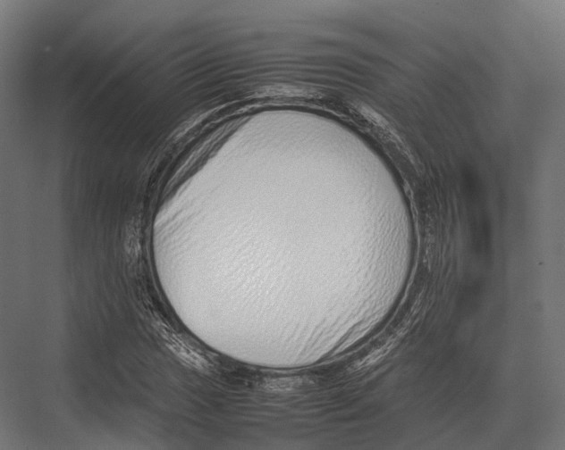 X0000075331017200610061622