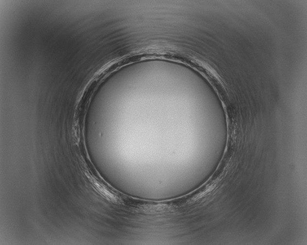 X0000075331018200610061622
