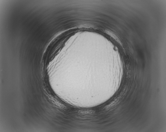 X0000075331021200610061622