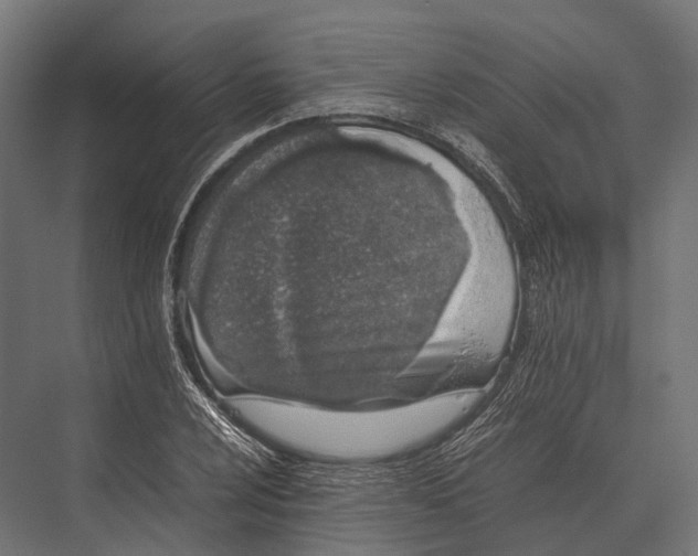 X0000075331024200610061623