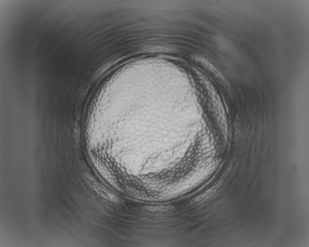X0000075331025200610061623