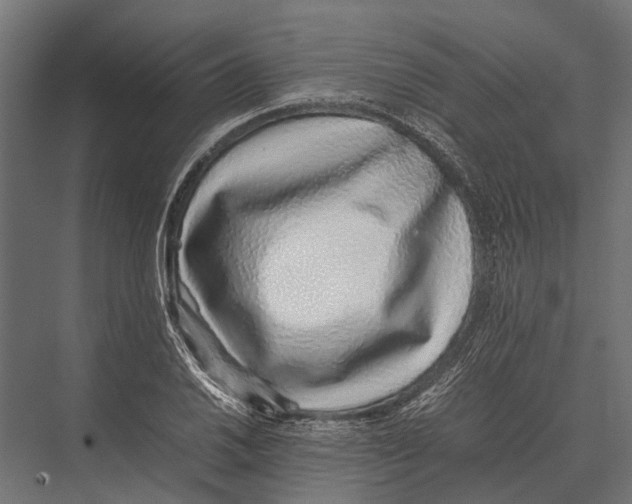 X0000075331030200610061623