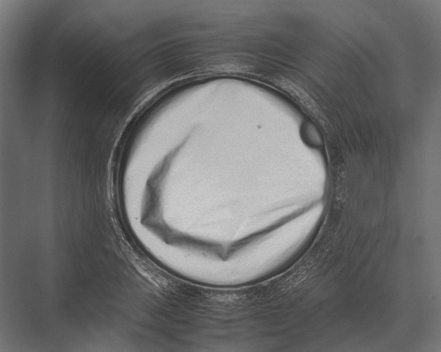 X0000075331031200610061623