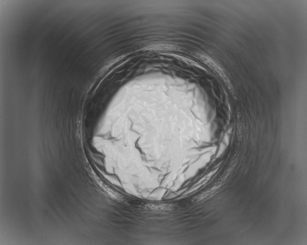 X0000075331041200610061623