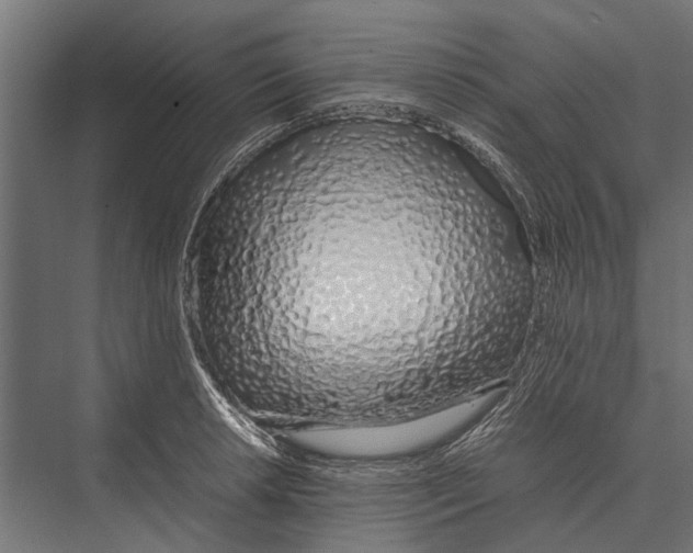 X0000075331042200610061623
