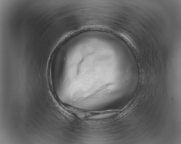 X0000075331046200610061623