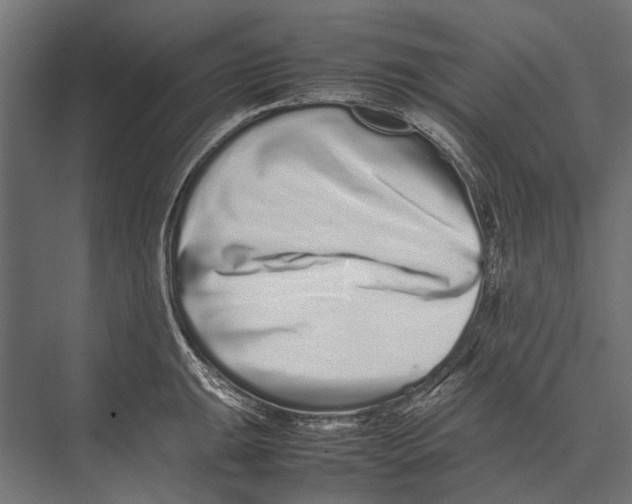 X0000075331047200610061623