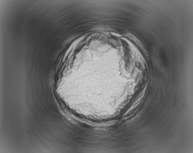 X0000075331049200610061623