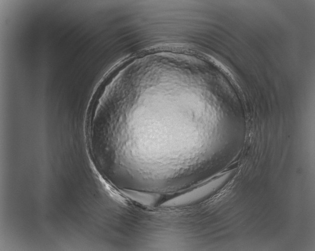 X0000075331050200610061623