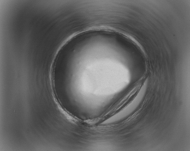 X0000075331054200610061623
