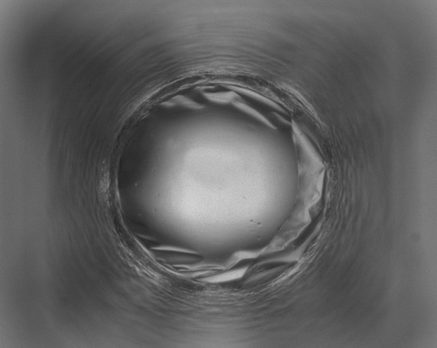 X0000075331065200610061622